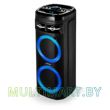 Беспроводная колонка Soundmax SM-MS4207